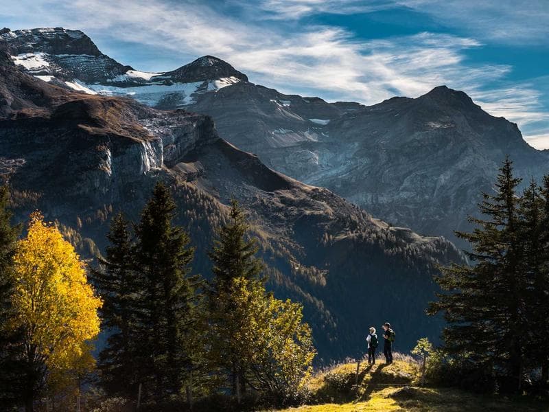 Hand Stretch Wrap 500mm